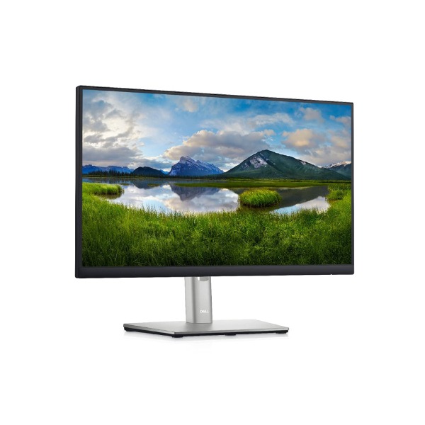 Dell Professional 21.5 inch Full HD Monitor - Wall Mountable, Height Adjustable, IPS Panel with HDMI,VGA DP & USB Ports - P2222H (Black)